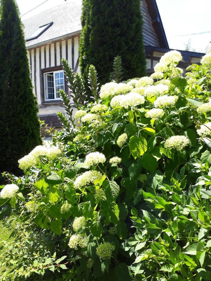 Gite 'Les Matins Calmes ' Cheffreville-Tonnencourt Экстерьер фото